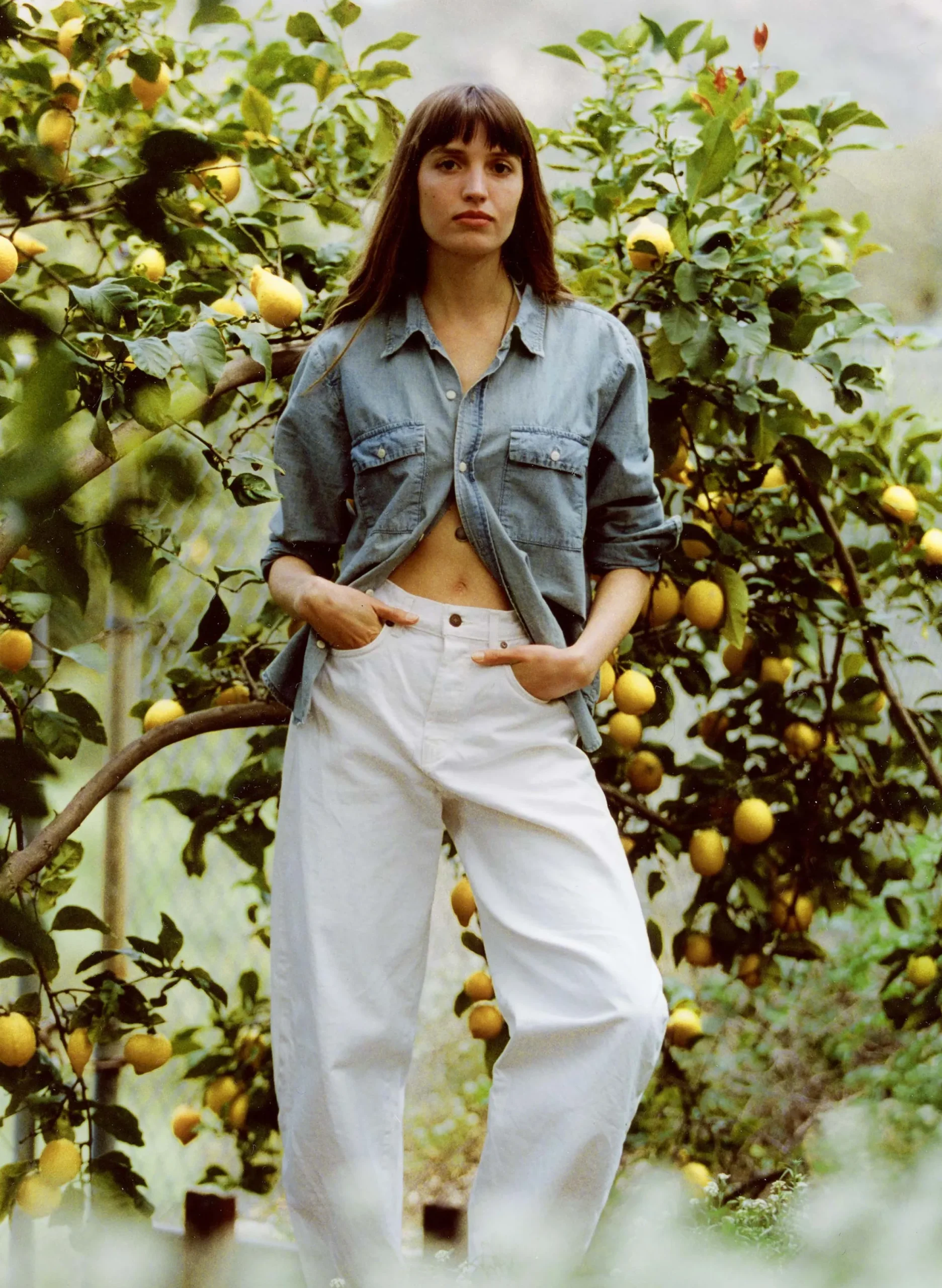 imogene + willie Elsie White|Women Denim