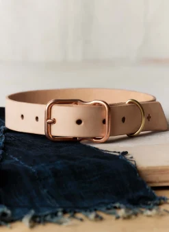 imogene + willie Emil Erwin X I+w Dog Collar|Women Accessories|Accessories