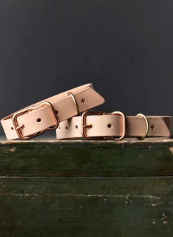 imogene + willie Emil Erwin X I+w Dog Collar|Women Accessories|Accessories