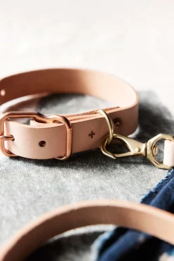 imogene + willie Emil Erwin X I+w Dog Collar|Women Accessories|Accessories