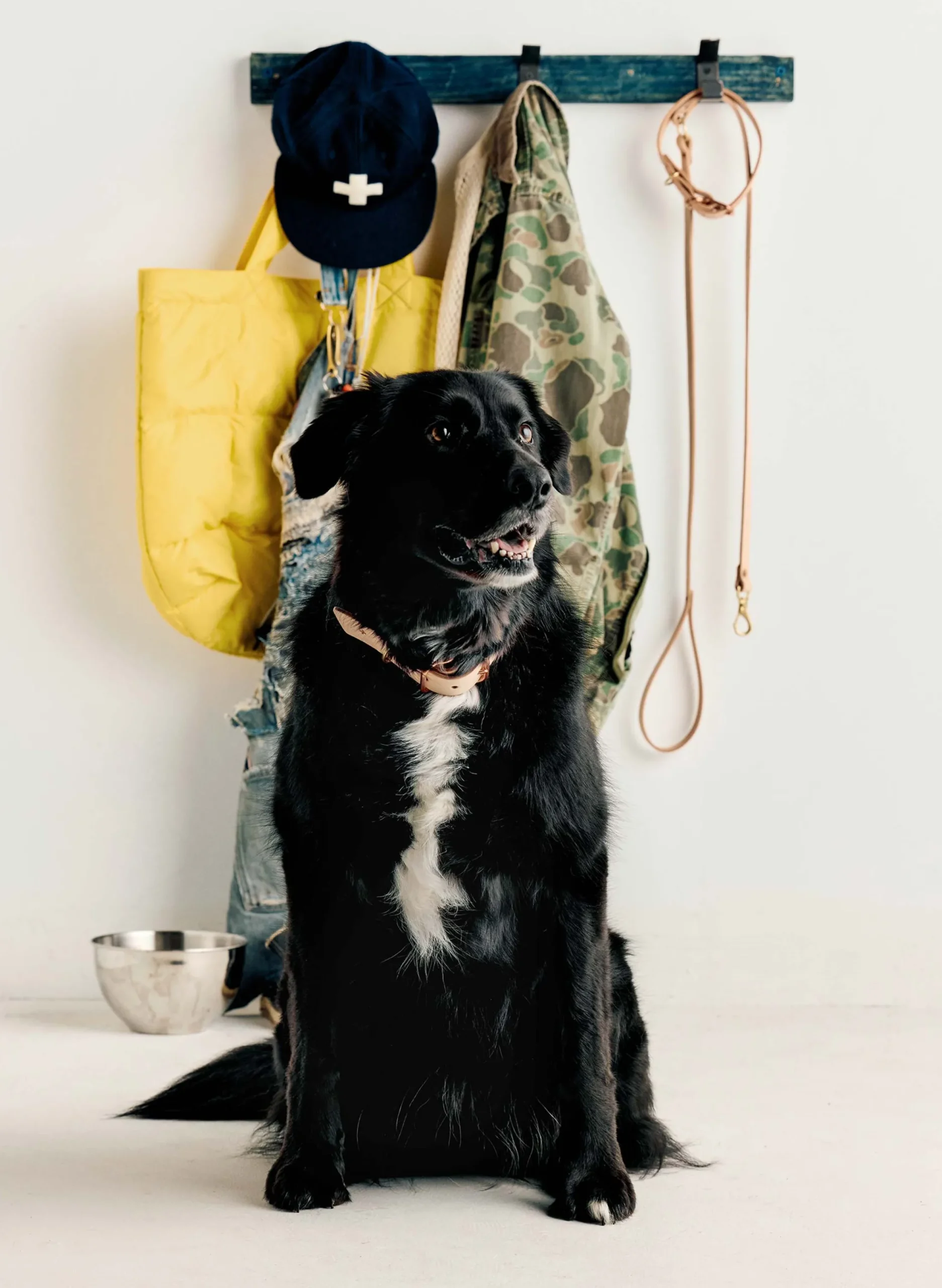 imogene + willie Emil Erwin X I+w Dog Leash|Women Accessories|Accessories