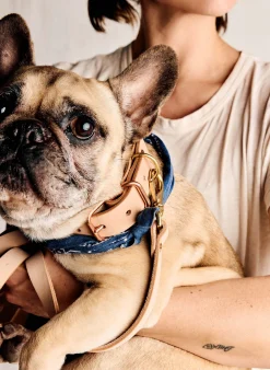 imogene + willie Emil Erwin X I+w Dog Leash|Women Accessories|Accessories