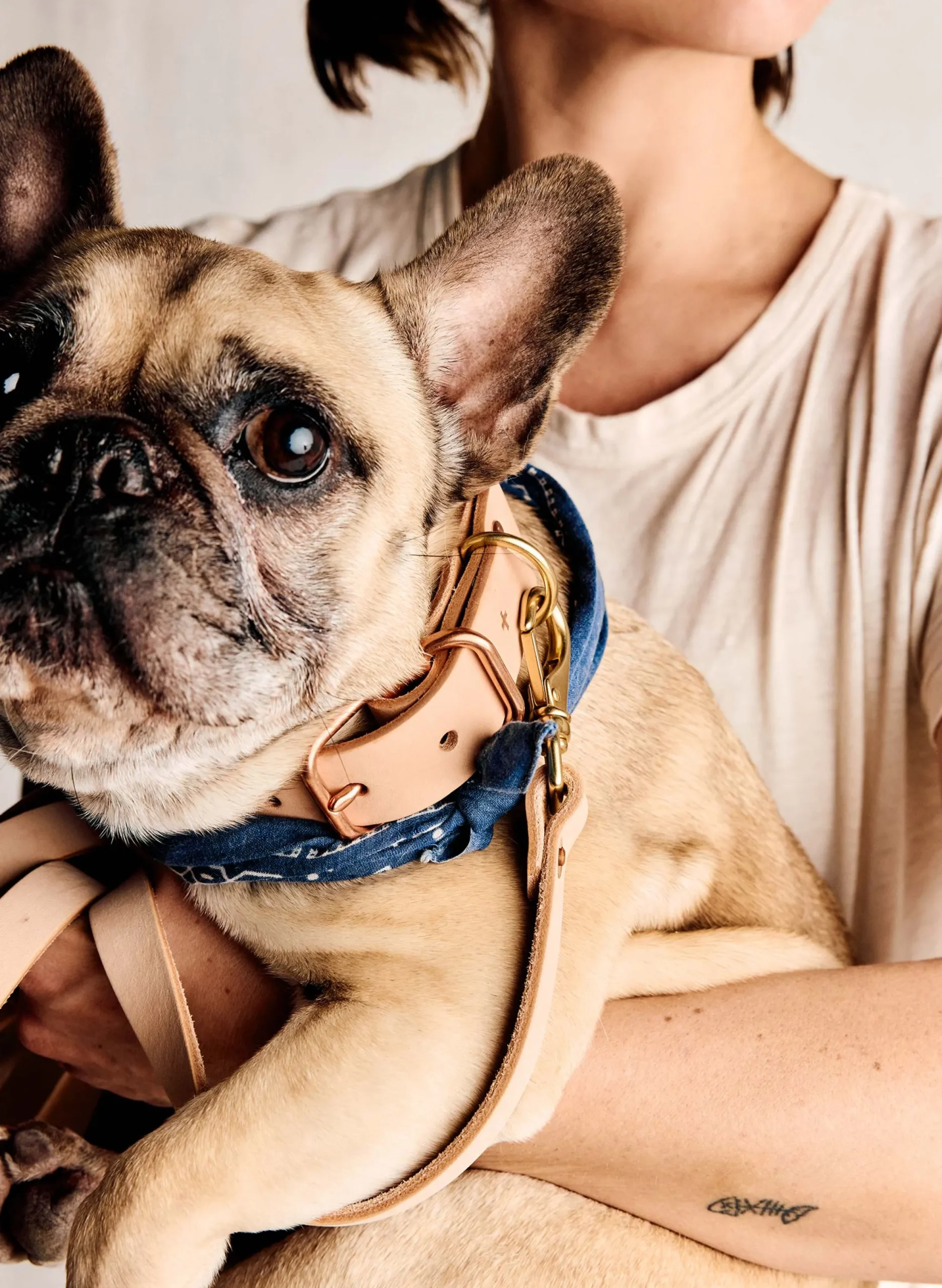 imogene + willie Emil Erwin X I+w Dog Leash|Women Accessories|Accessories