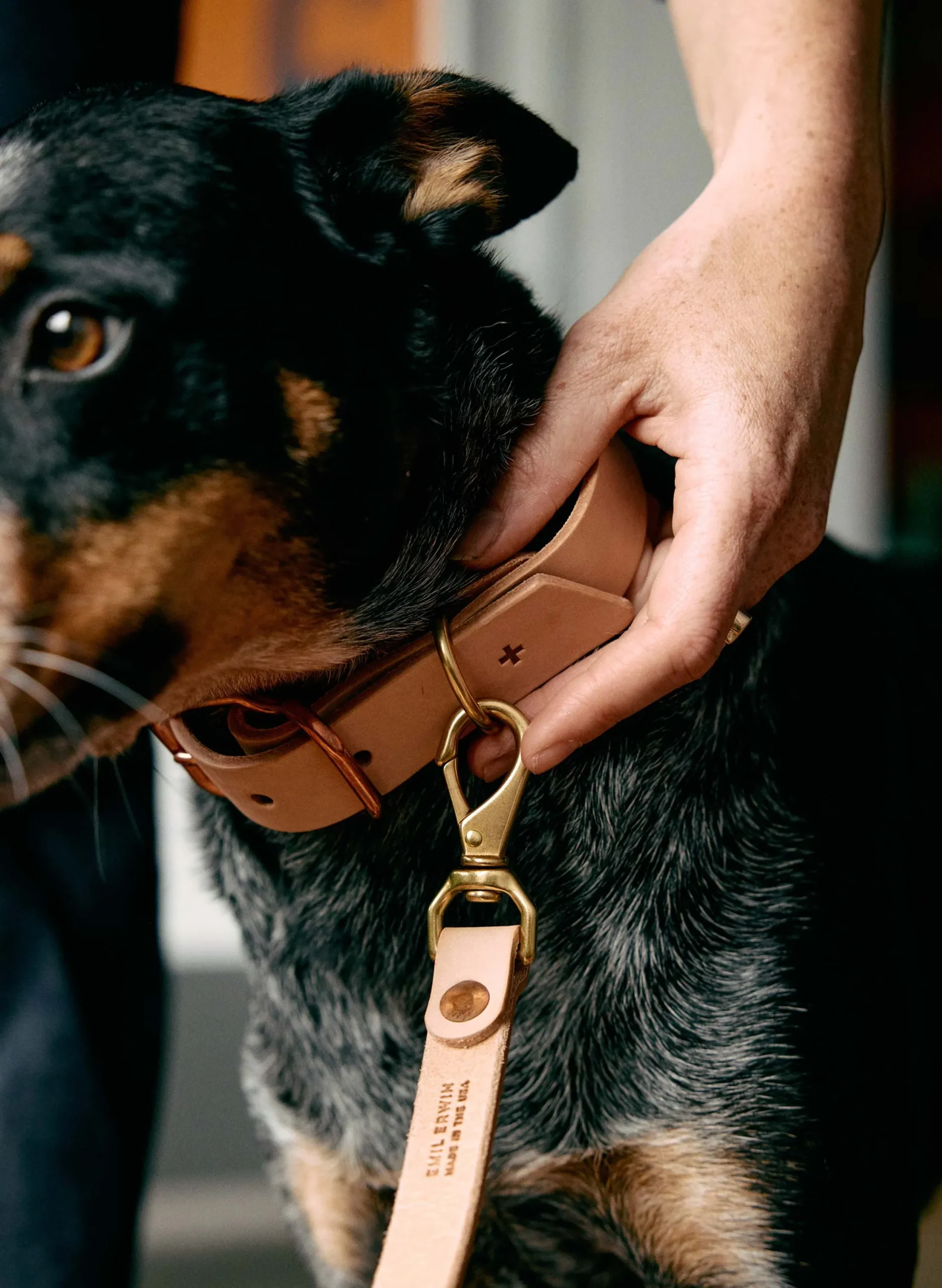 imogene + willie Emil Erwin X I+w Dog Leash|Women Accessories|Accessories