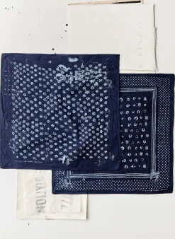 imogene + willie Indigo