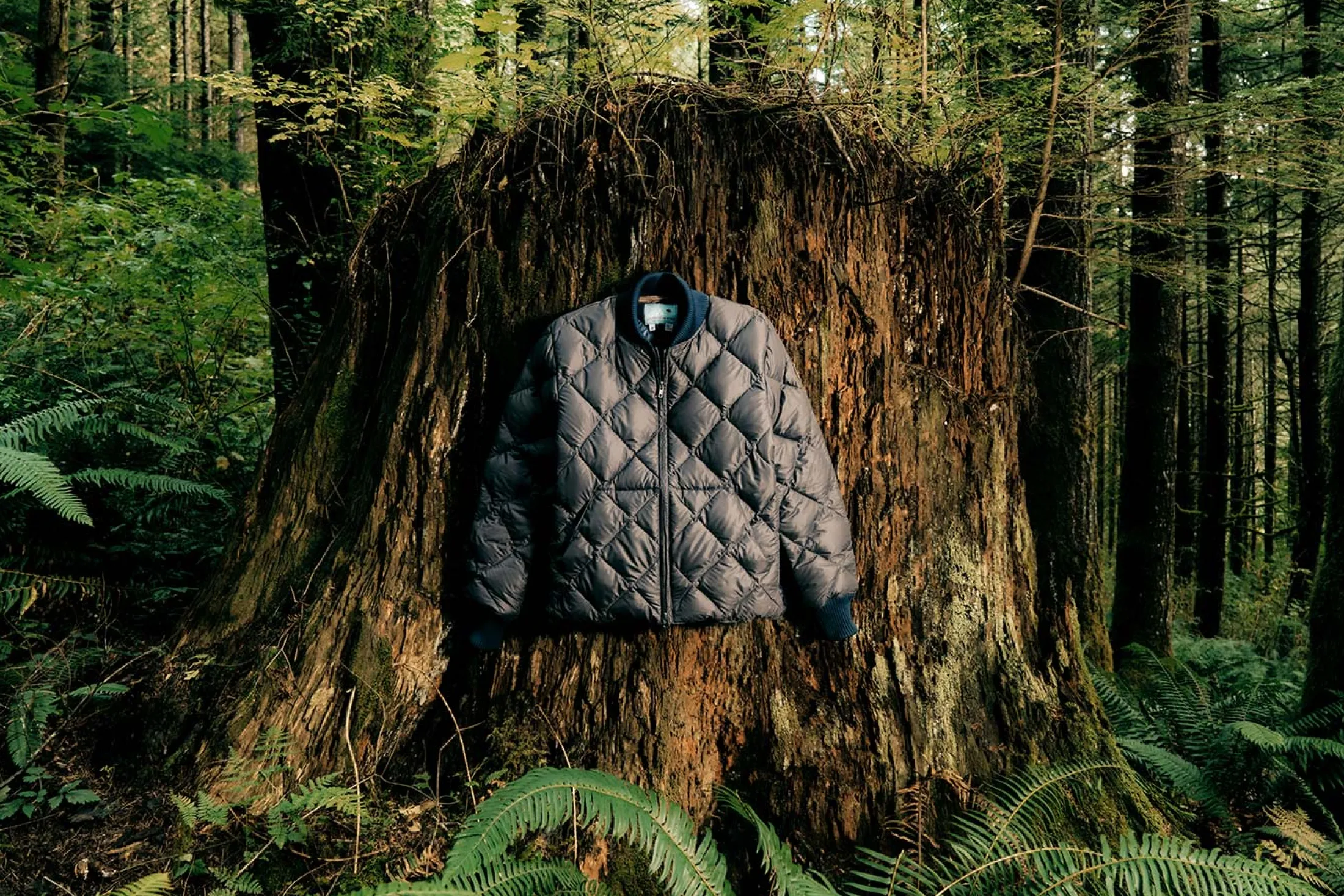 imogene + willie I+w X Crescent Down Works Quilted Bomber|Women Jackets|Jackets