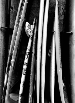 imogene + willie Knit Indigo Crew| T-Shirts