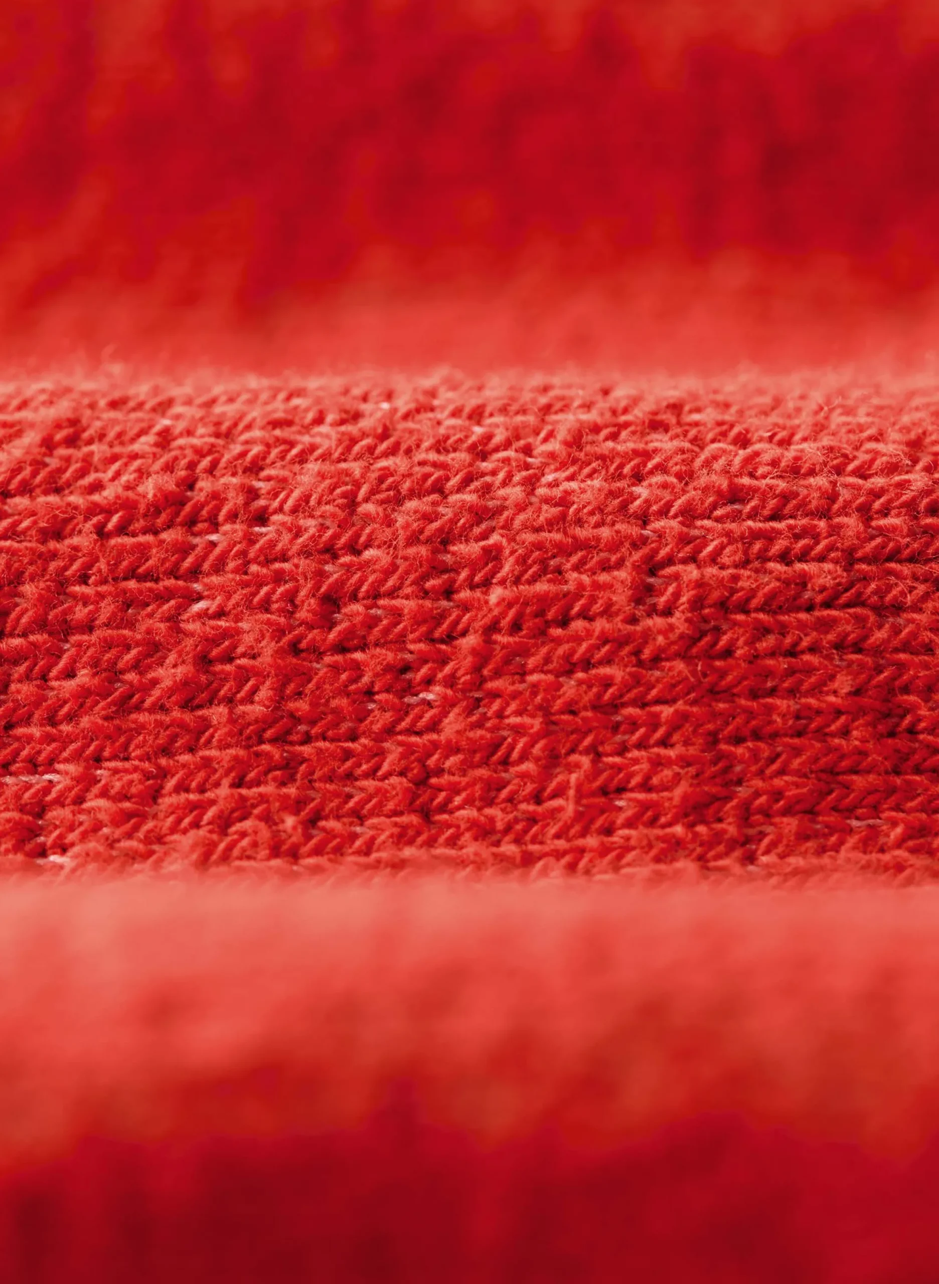 imogene + willie The Cut Sleeve Sweatshirt In Poppy|Women Knits & Sweaters