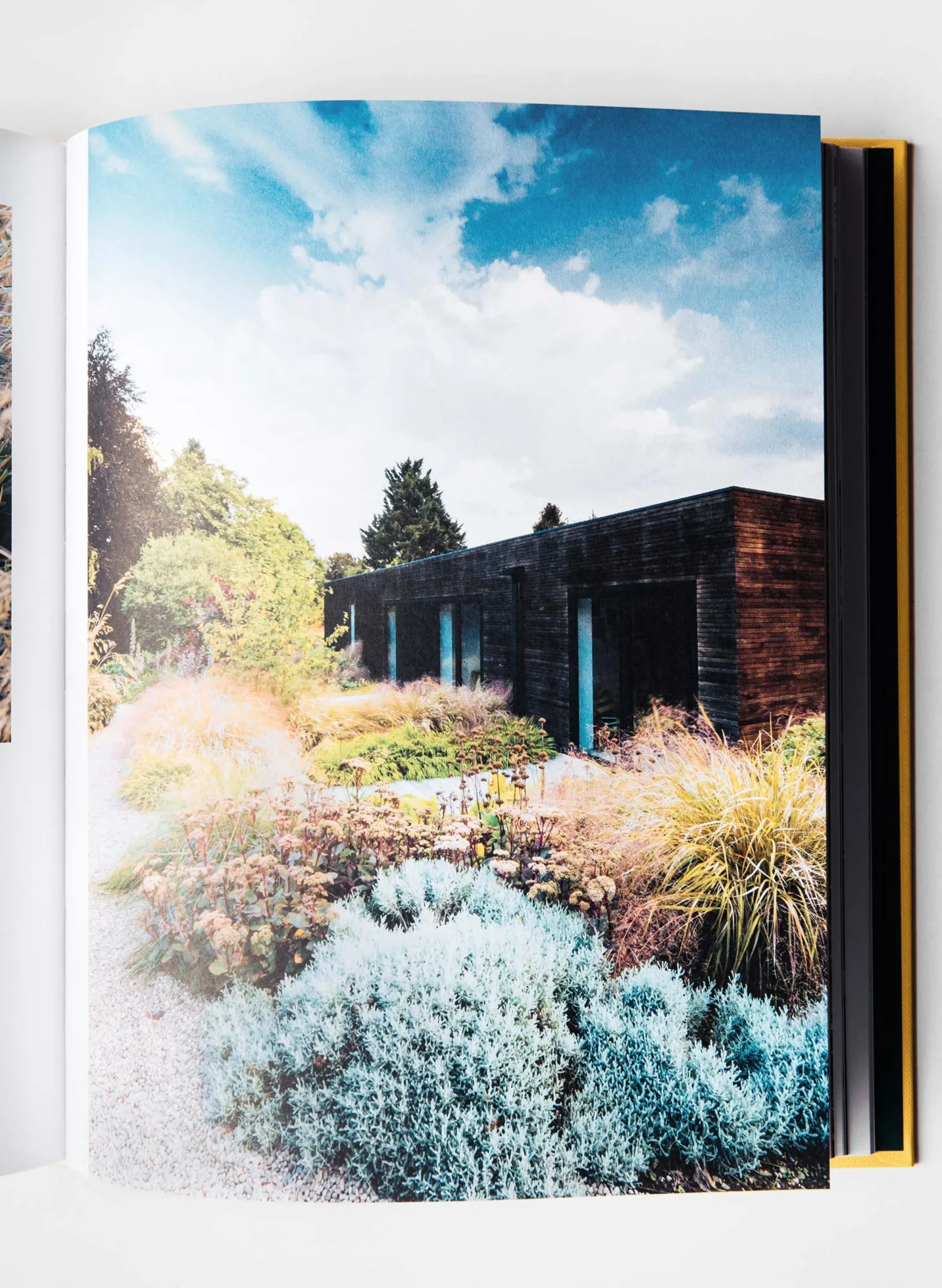 imogene + willie The Gardens Of Eden Hardcover|Women Home Goods|Home Goods