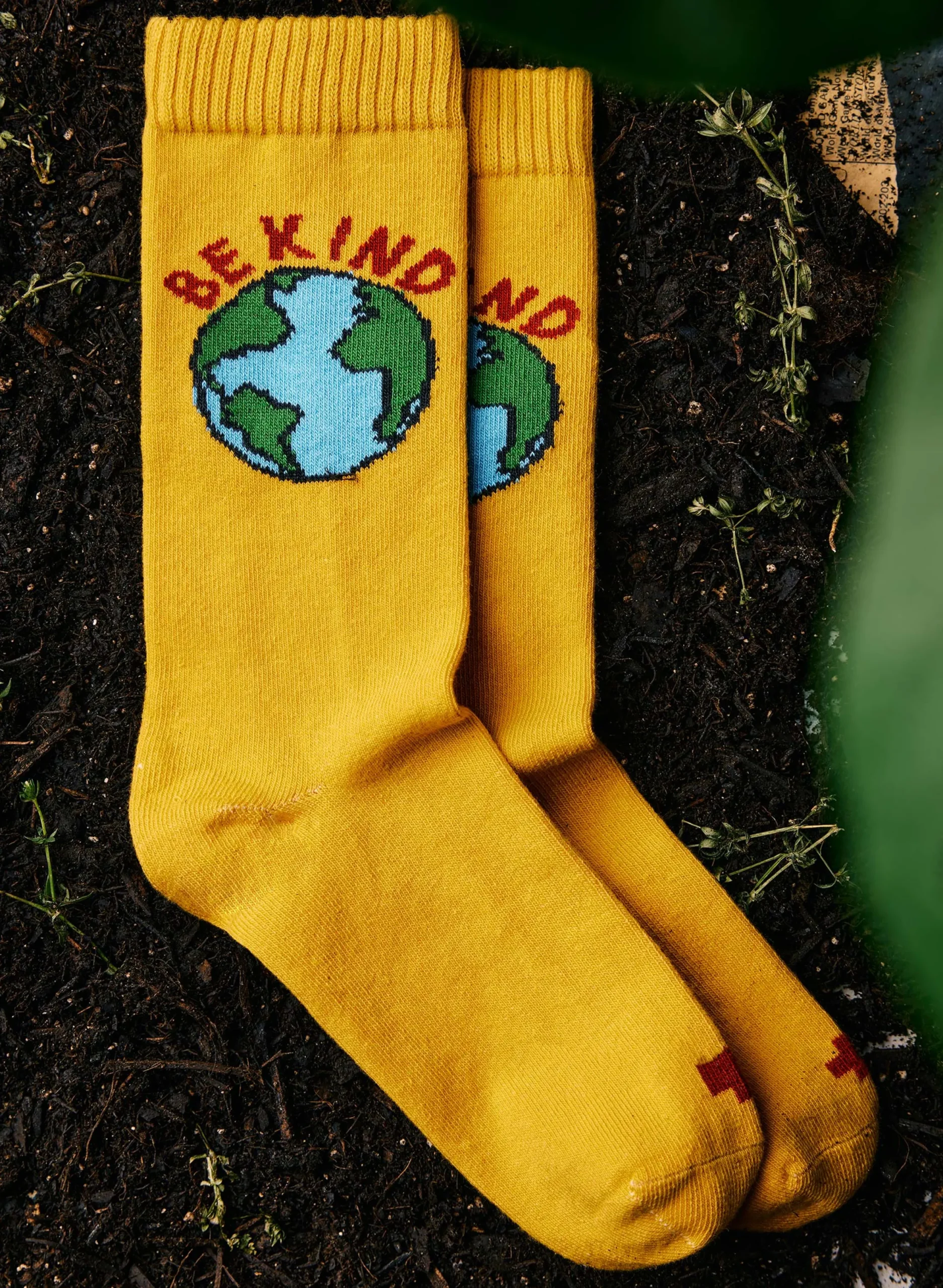 imogene + willie The "mother Earth" Sock|Women Accessories|Accessories